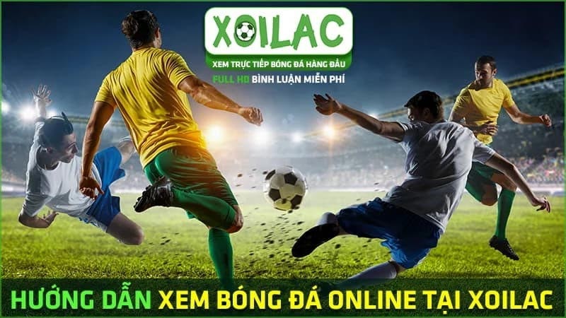 Lý do Xoilac TV siêu hot